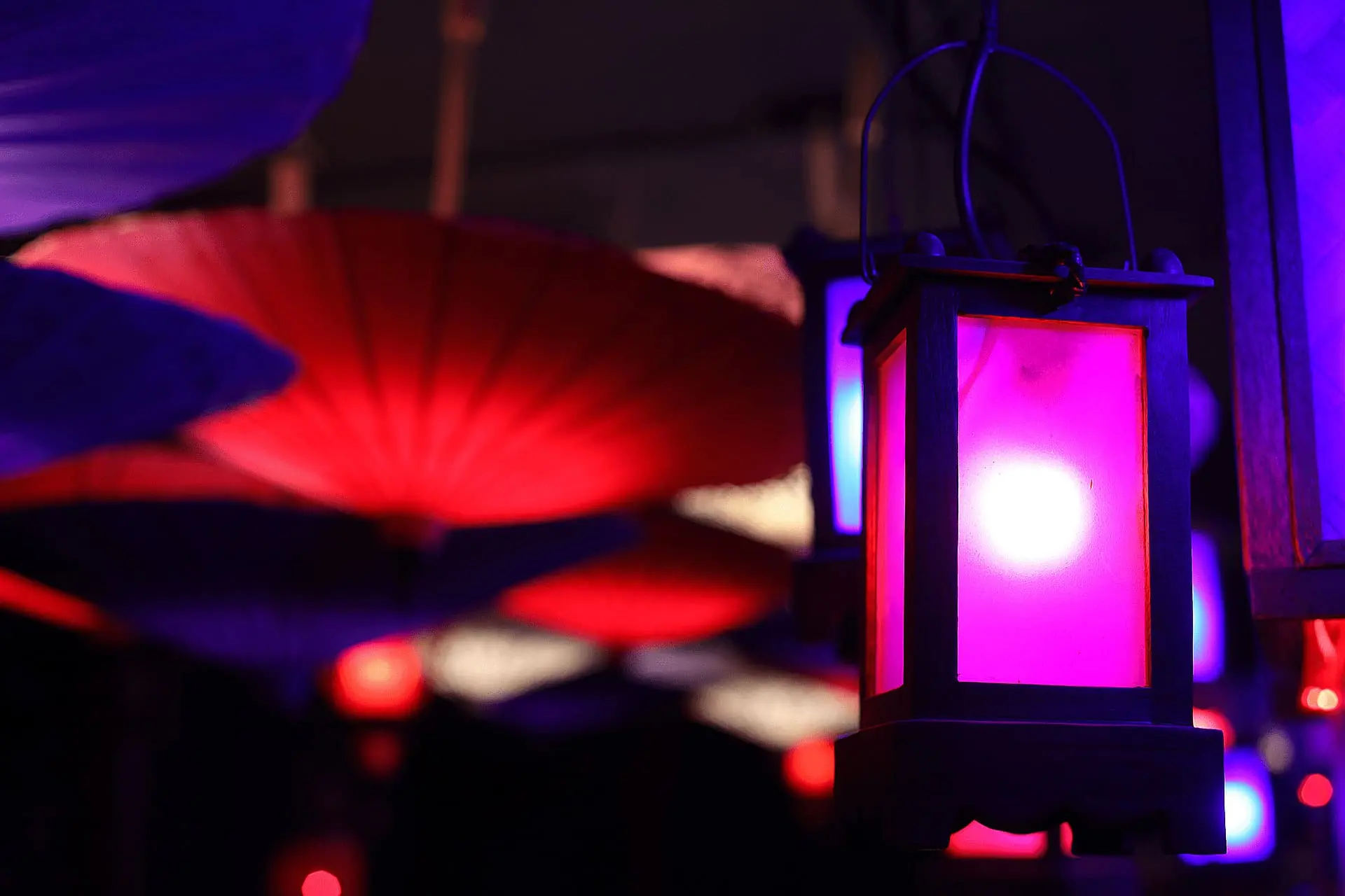 Ambiance at Daisy Dream lobby